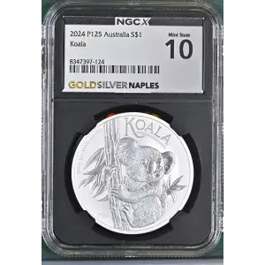 2024 P125 Koala (2)