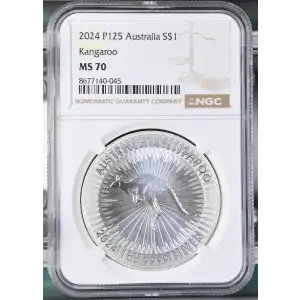 2024 P125 Kangaroo (2)