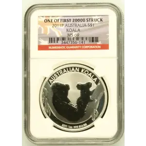 2011P Koala (2)