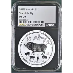 2019P Year of the Pig (2)
