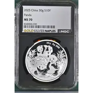 2025 Panda (2)
