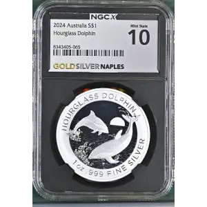2024 Hourglass Dolphin (2)