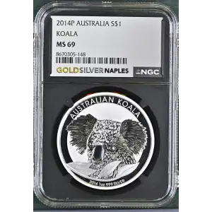 2014P Koala (2)