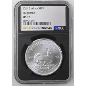2024 Krugerrand (2)