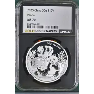2025 Panda (2)