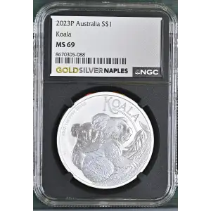 2023P Koala (2)
