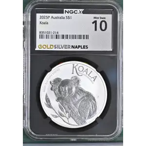 2025P Koala (2)