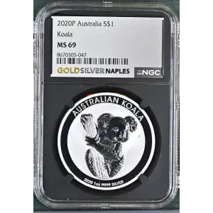 2020P Koala (2)