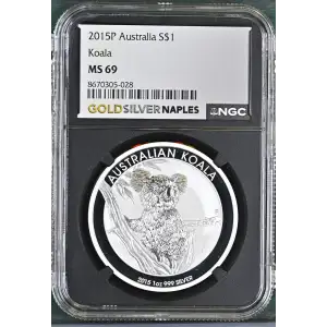 2015P Koala (2)