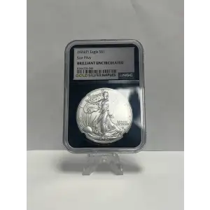 2024P $1 SILVER EAGLE DOLLAR NGC STAR PRIVY BRILLIANT UNCIRCULATED