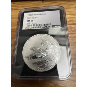 Silver Eagles