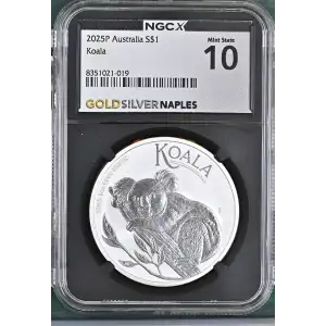 2025P Koala (2)