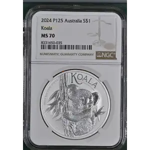 2024 P125 Koala (2)