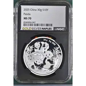 2025 Panda (2)