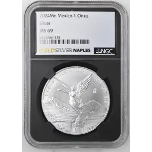 2024Mo Silver (2)