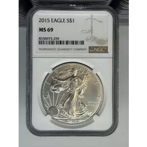 2014 1 oz Silver Eagle  NGC MS69 (LABEL MAY VARY) (3)
