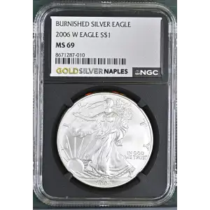 2006 W BURNISHED SILVER EAGLE (2)