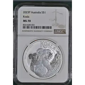 2023P Koala (2)