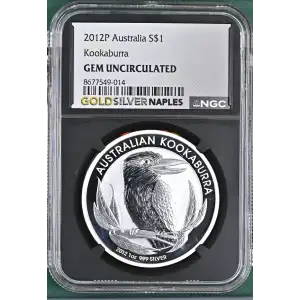 2012P Kookaburra (2)