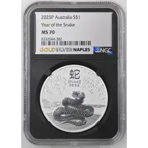 2025P Year of the Snake (2)