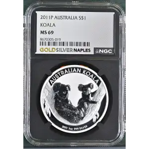 2011P Koala (2)