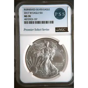 2017 W BURNISHED SILVER EAGLE (2)