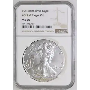 2022 W Burnished Silver Eagle (2)