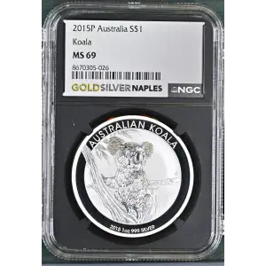 2015P Koala (2)