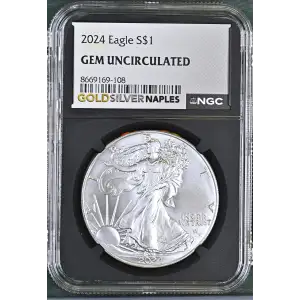 2024 (2)