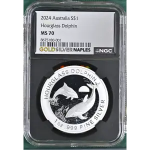 2024 Hourglass Dolphin (2)