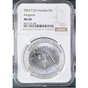 2024 P125 Kangaroo (2)