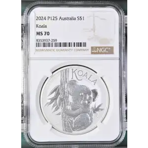 2024 P125 Koala (2)