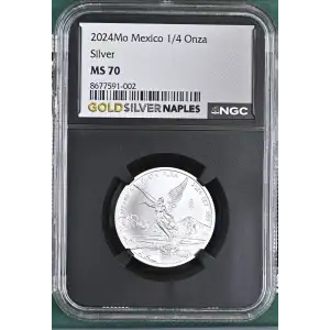 2024Mo Silver (2)