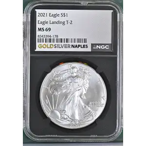 2021 Eagle Landing T-2 (2)