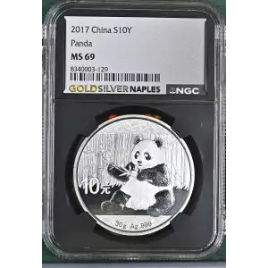 2017 Panda (2)