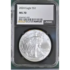 2024 (2)