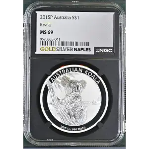 2015P Koala (2)