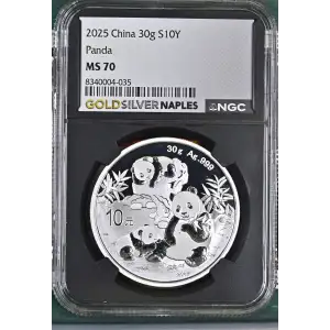 2025 Panda (2)