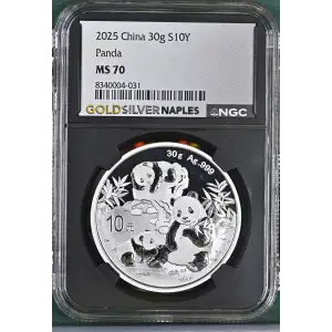 2025 Panda (2)