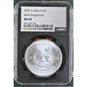 2022 Krugerrand (2)