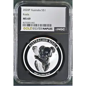 2020P Koala (2)