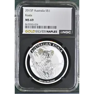 2015P Koala (2)