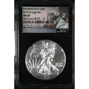 2019 W Burnished Silver Eagle (2)