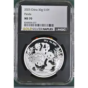 2025 Panda (2)