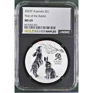 2023P Year of the Rabbit (2)