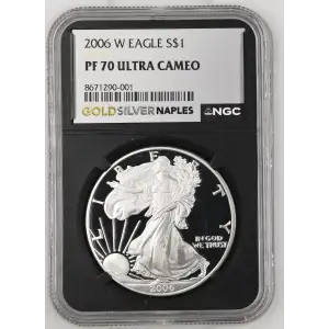 2006 W  ULTRA CAMEO (2)