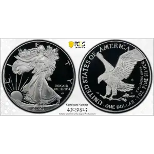 2021-S $1 Silver Eagle - Type 2 First Strike, DCAM (2)