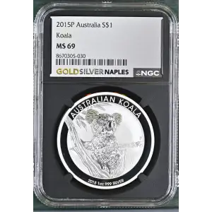2015P Koala (2)
