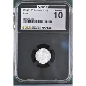 2024 P125 Koala (2)