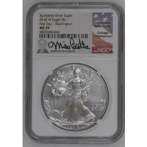 2018 W Burnished Silver Eagle First Day - Washington DC (2)